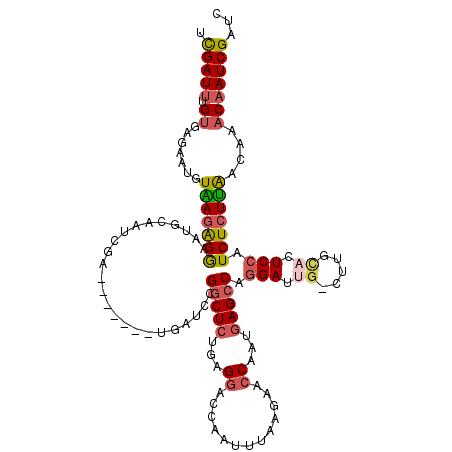 secondary structure