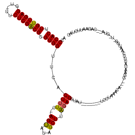 secondary structure