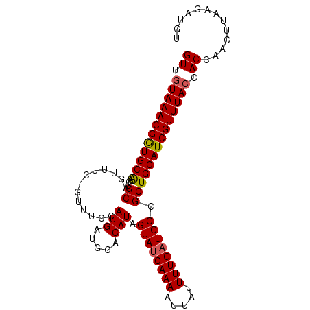 secondary structure