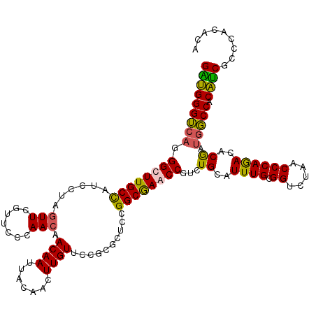 secondary structure