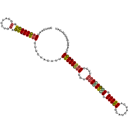secondary structure