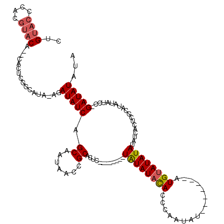 secondary structure