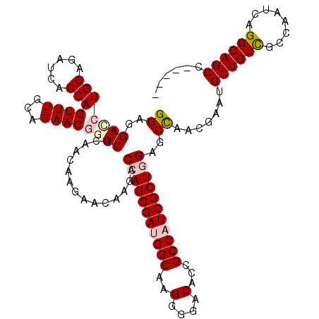 secondary structure