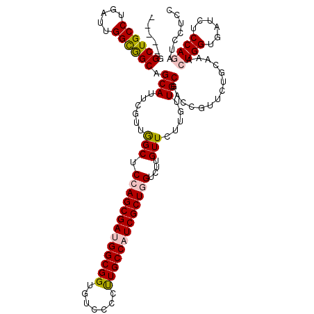 secondary structure