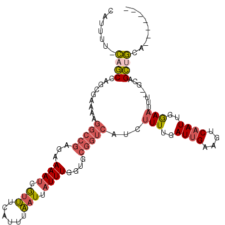 secondary structure