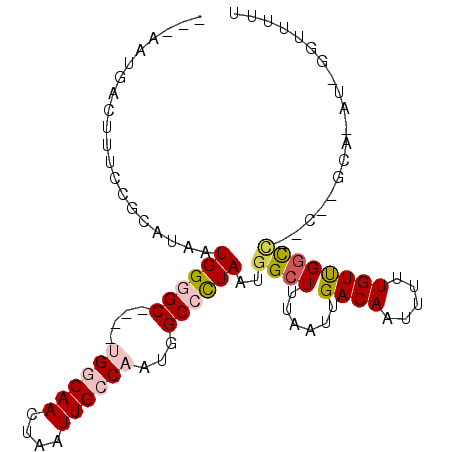 secondary structure