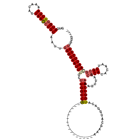secondary structure