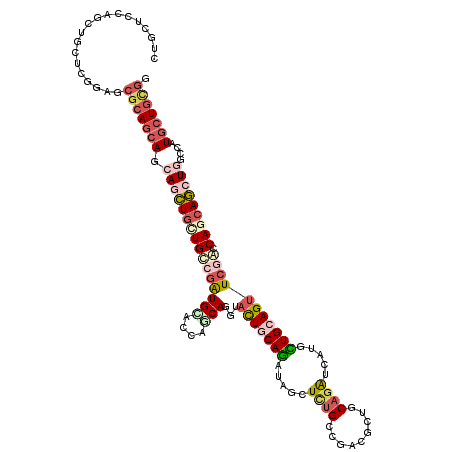 secondary structure