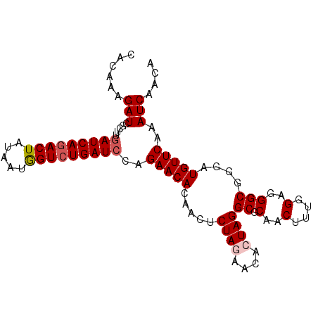 secondary structure