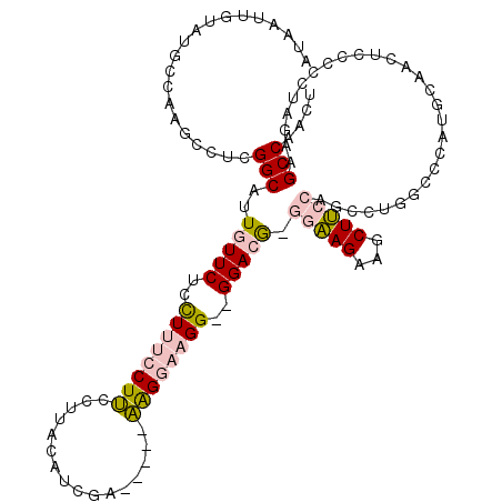 secondary structure