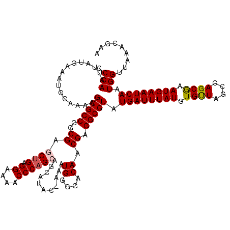 secondary structure