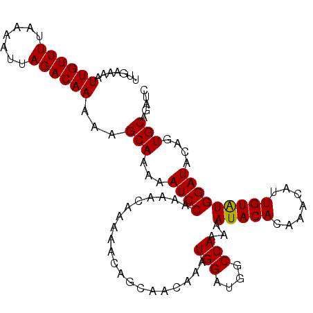 secondary structure