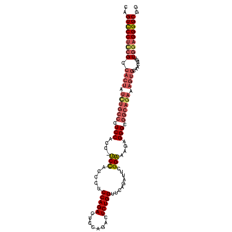 secondary structure