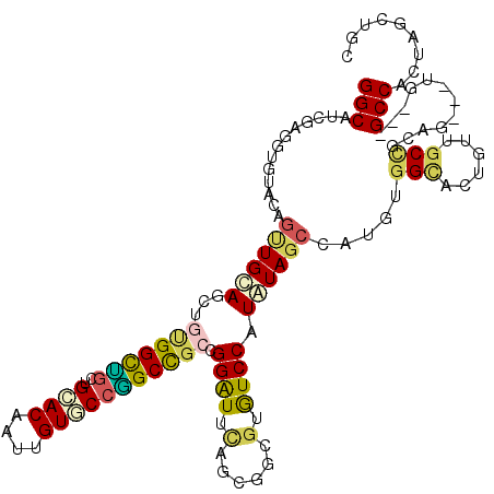 secondary structure