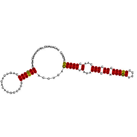 secondary structure