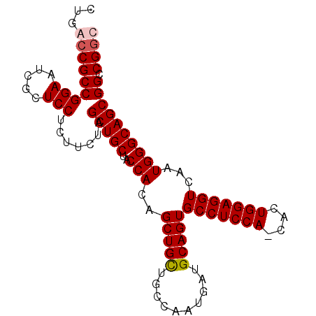 secondary structure