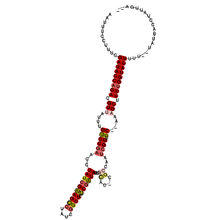 secondary structure