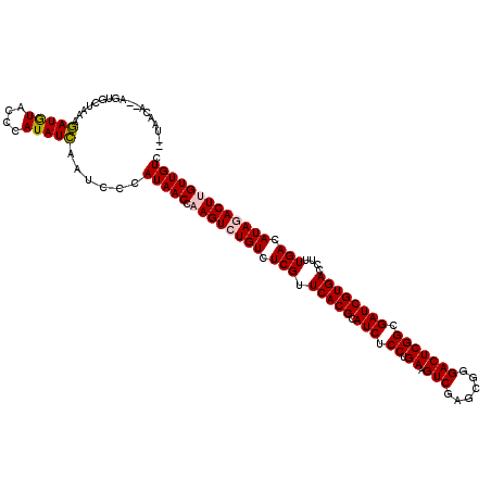 secondary structure