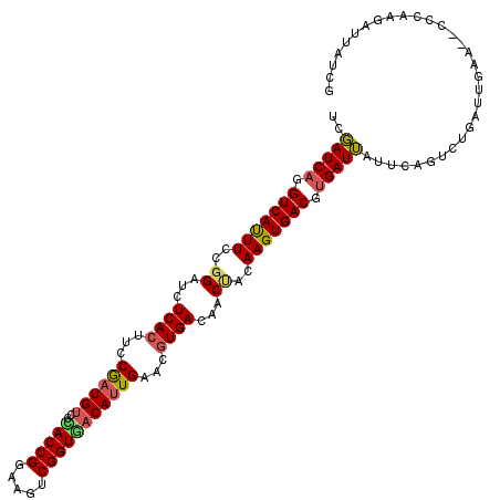 secondary structure
