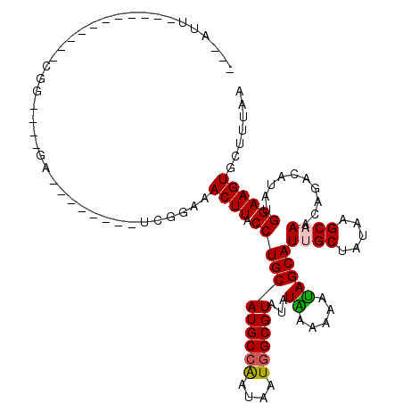 secondary structure