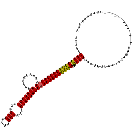 secondary structure