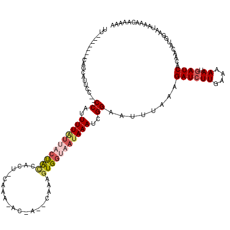 secondary structure