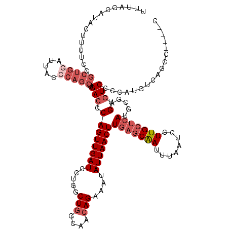 secondary structure