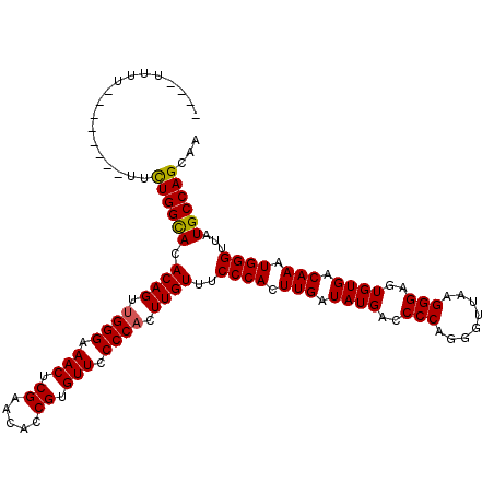 secondary structure
