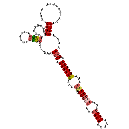 secondary structure