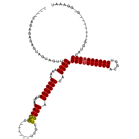 secondary structure