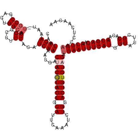secondary structure