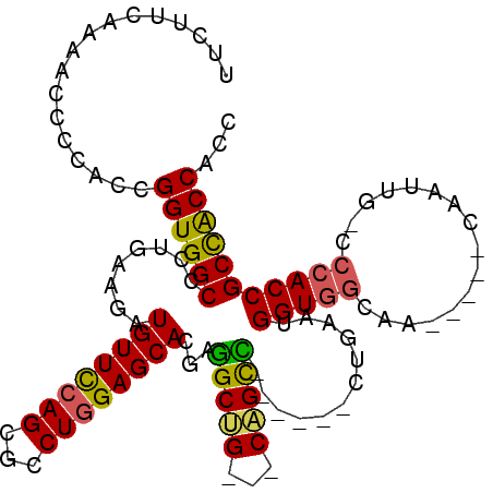 secondary structure