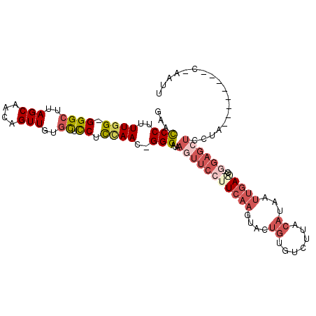 secondary structure
