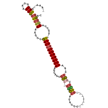 secondary structure