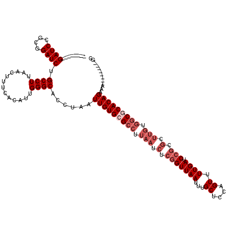 secondary structure
