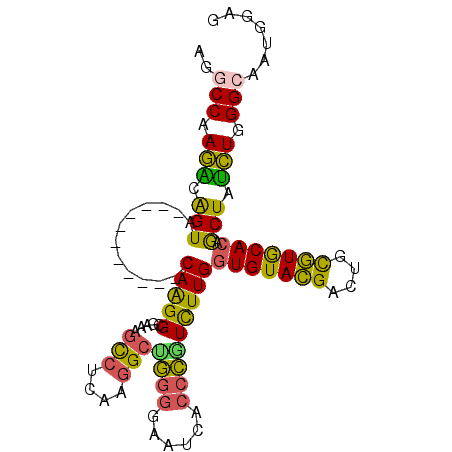 secondary structure