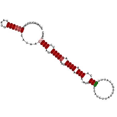 secondary structure