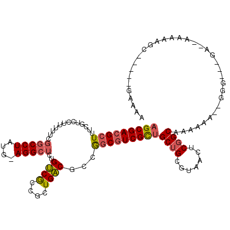 secondary structure