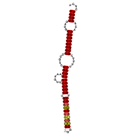 secondary structure