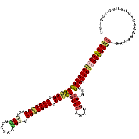 secondary structure