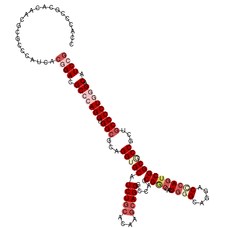 secondary structure