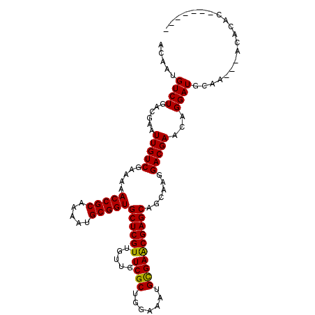 secondary structure