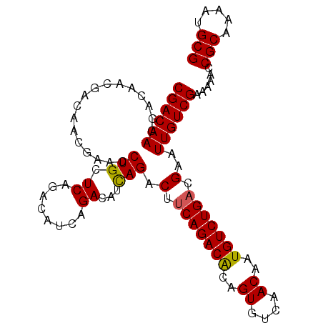 secondary structure