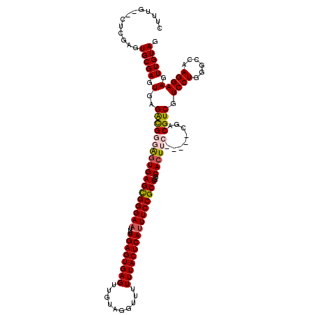 secondary structure