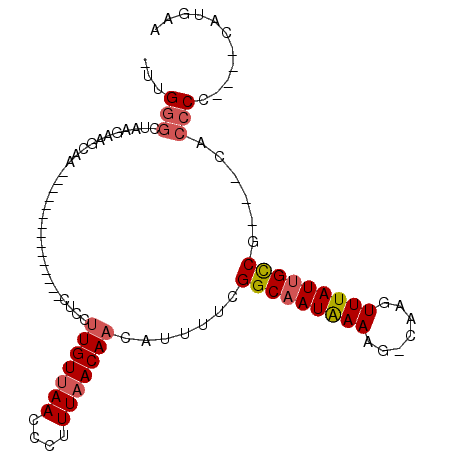 secondary structure