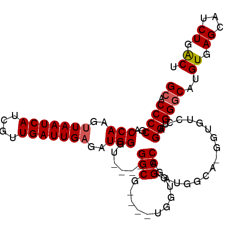 secondary structure