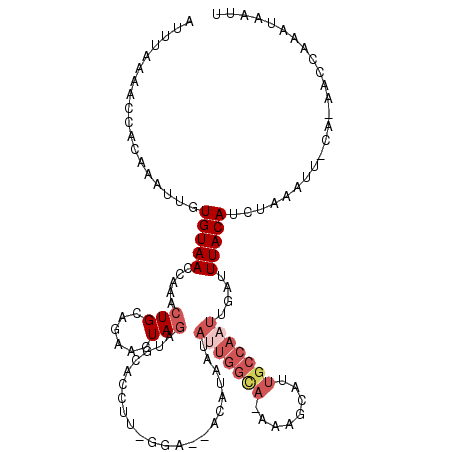 secondary structure