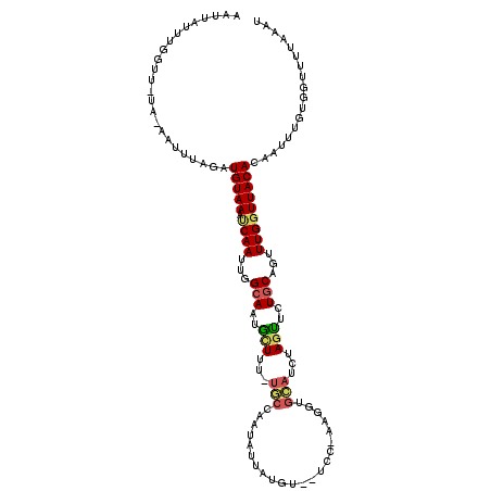 secondary structure