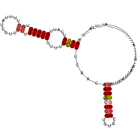 secondary structure
