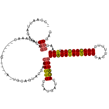 secondary structure